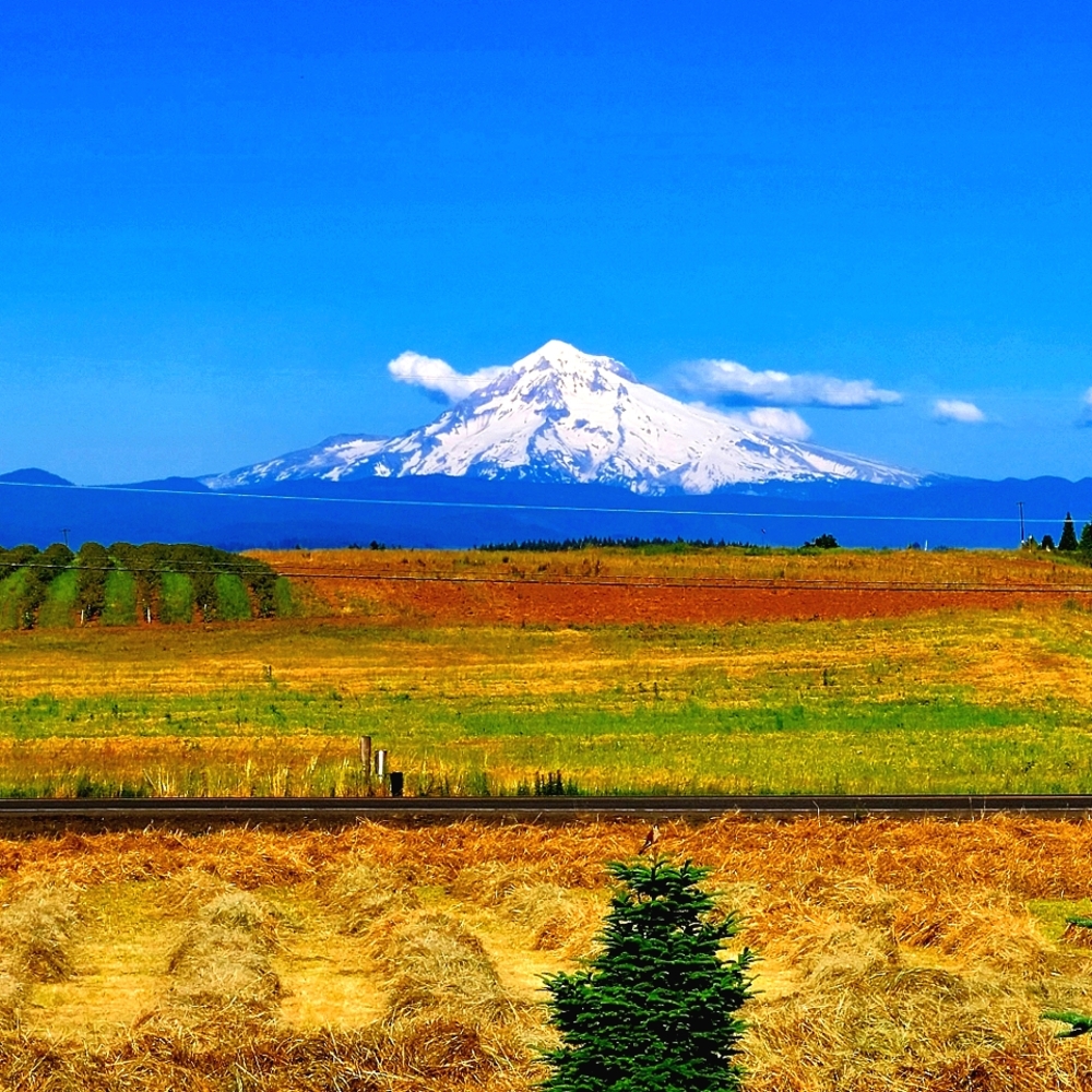 Meet your Posher, Jeanette